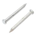Concrete Nails 2.5". 