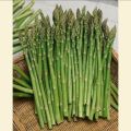 Asparagus Seeds 30+Seeds Imported Kurilo Seeds For Garden. 