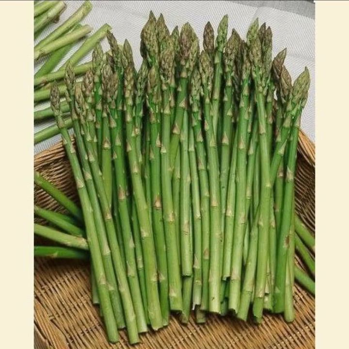 Asparagus%20Seeds%2030+Seeds%20Imported%20Kurilo%20Seeds%20For%20Garden%20-%20Image%203
