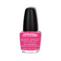 L.A. Colors Color Craze Nail Polish (absolute) 13ml. 