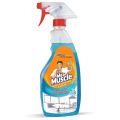 Mr Muscle Cleaner 500ml- Kitchen Glass & House Hold. 