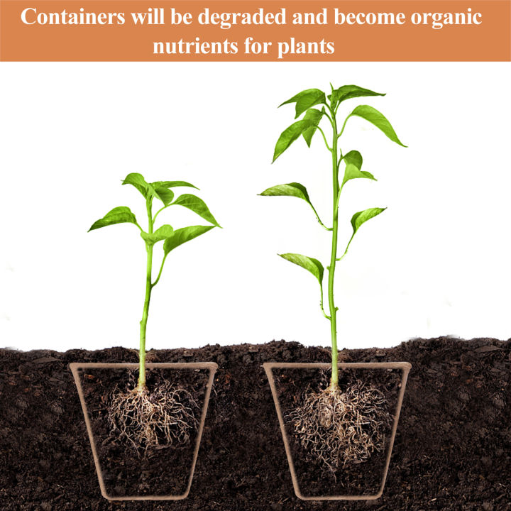 Haishell%2010%20Pack%20Seeding%20Starter%20Pots%20Biodegradable%20Fibre%20Paper%20Nursery%20Pots%20With%20Humidity%20Dome%20Compostable%20Peat%20Seed%20Plant%20Pots%20Demoo%20-%20Image%204