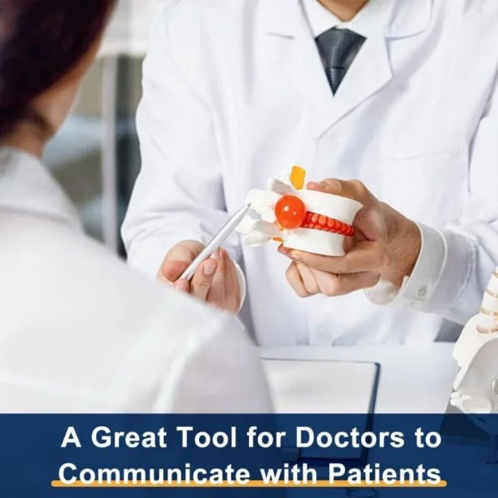 Use%203D%20Model%20Lumbar%20Model%20Compression%20Demonstration%20Spinal%20Pressure%20Lesions%20Human%20Anatomy%20Skeleton%20Model%20Educational%20Tool%20Simulation%20Spine%20Demonstration%20Structure%20Student%20-%20Image%208