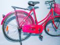 S.K Bike Ladies glory. 