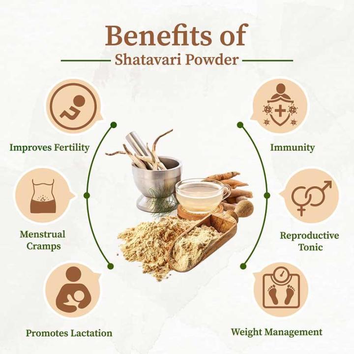Dry Shatavari (Kurilo / Satabari) Powder – 500 gm | Daraz.com.np