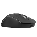 Wireless gaming mouse Proove Gaming Buzz. 