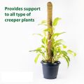 Coco Coir Stick Pole Moss Stick for Climbing Money Plant, Housing Plants Support  (3 Feet). 
