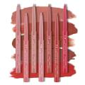 Cameo Brown Lip Stick Lipliner Pencil 12-color Set Draw Outline The Lip Line Pen Matte Long-lasting Lipstick Pink Velvet Makeup. 