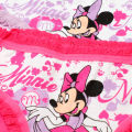 2Pcs/Bag 2-10Y New Girl Underwear Minnie Cotton Cartoon Children knickers Girls Underpants Kids Panties flat angle Panty Brief. 