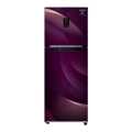 Samsung RT34T46324R 314L 5.1 Convertible Double Door Refrigerator with Curd Maestro. 