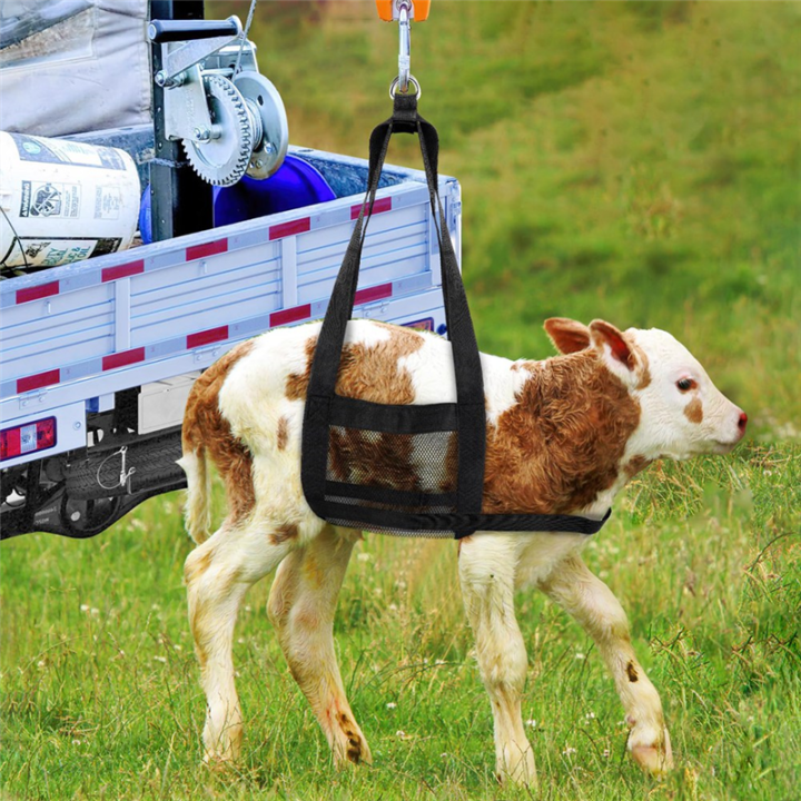 2PCS%20Weighing%20Bag%20Goat%20Sling%20for%20Weighing%20Animals,Small%20Animal%20Weighing%20Sling,Livestock%20Sling,Calf%20Scale%20Hanging%20Weight%20Scale%20Sling%20-%20Image%204