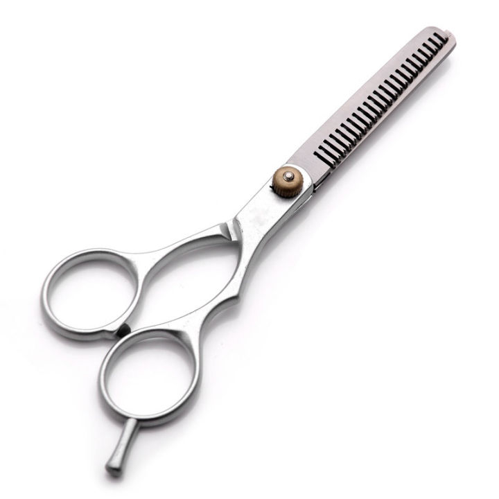 Professional Hair Cutting Scissors - 1 Piece