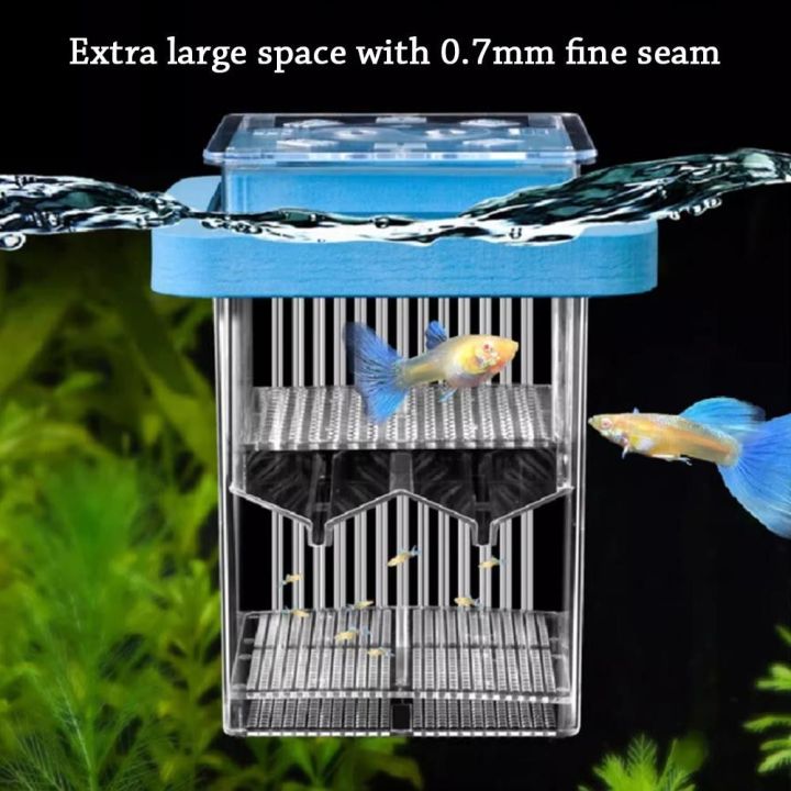 Rectangular Box Hatching New Transparent Fish Breeder Box Square Detachable Floating Hatching ...