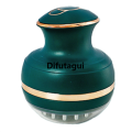 Difutagui 2025 NEW Body Massage Microcurrent Beauty Instrument Portable Liquid Import Hair Comb for Scalp Care Hair (Green). 