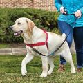 Petsafe Easy Walk Front-Attachment Harness and Lead Set. 