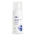 Plum 1% Encapsulated Salicylic Acid Foaming Face Wash with Glycolic Acid, Fruit AHA's & Blueberry Extracts |  110 ml. 