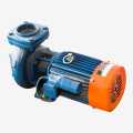 Kriloskar KDS 2hp/1.2kw S.P Monoblock Water Pump. 