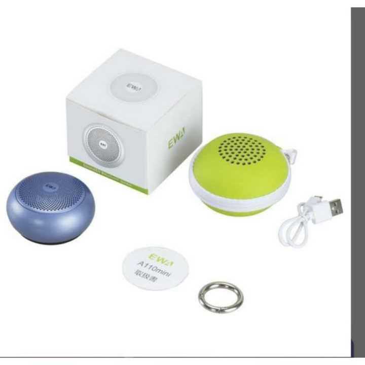 Ewa A110 Mini Bluetooth, Metal Speaker With Hard Travel Case Packed ...