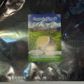Special Silver Tips Tea 100 gm Pack. 