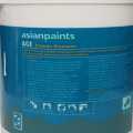Asain Paints Ace Exterior Emulsion 4 Ltrs. 