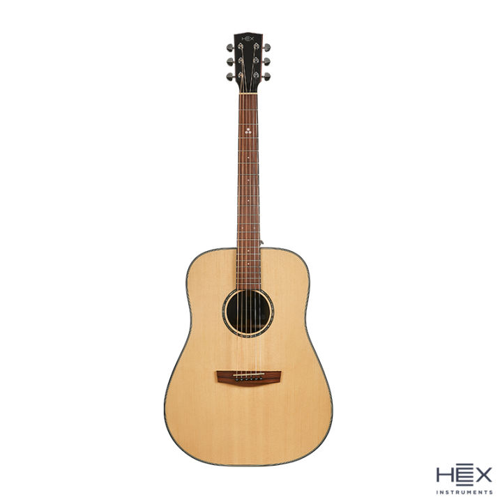 Hex Instrument Hex Instruments Sting D350 G Cutaway Acoustic Guitar With Standard Gig ...