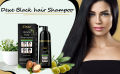 Dexe Black Hair Shampoo 400 ML - Natural Herbal Formula - Long-Lasting Fast Acting Dye - Easy & Safe to Use. 
