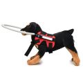 ARELENE Blind Dog Harness Guiding Device,Blind Dog Halo,Pet Anti-Collision Ring for Build Confidence,Blind Dog Accessories. 