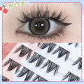 Glue-Free Sweet Cat False Eyelashes Single Cluster Segment Beginner Natural Imitation Light Makeup Dense Long Manga Style. 