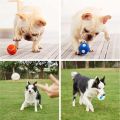 Squeaky Interactive Chihuahua Retriever Pet Ball Outdoor Play Dog Throw Dog Supplies Dog Chew Pet Training Pet Accessories. 