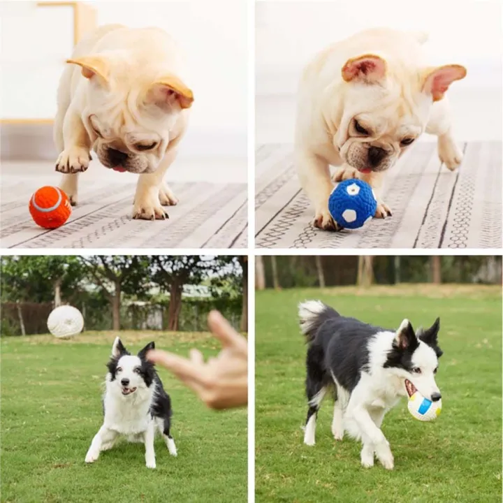 Squeaky%20Interactive%20Chihuahua%20Retriever%20Pet%20Ball%20Outdoor%20Play%20Dog%20Throw%20Dog%20Supplies%20Dog%20Chew%20Pet%20Training%20Pet%20Accessories%20-%20Image%204