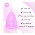EcoFlow: Reusable Menstrual Cup with Folding Design. 