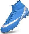 Professional Indoor Training Footbball Shoe Football Boot. 