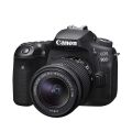 Canon EOS 90D (EF-S18-55mm f/4-5.6 is STM) | Stunning Video & Brilliant Details In Every Shot. 