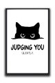 Funny Cat Wall Frame – Judging You Silently Quote Wall Art | One Piece Frame. 