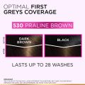 LOreal Paris Casting Creme Gloss Hair Color - 530 Praline Brown (87.5g+72ml). 