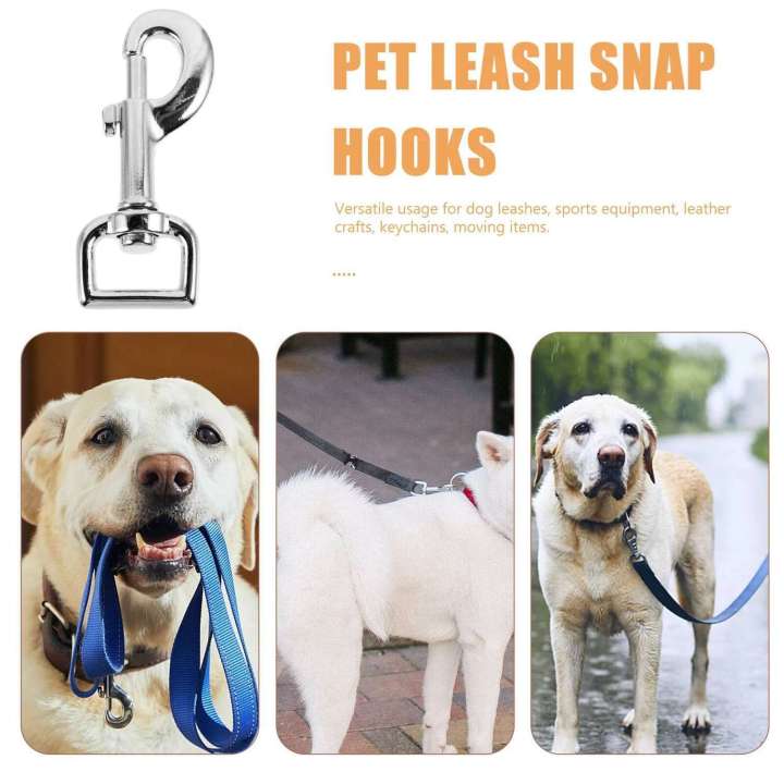 2pcs%20Clasp%20Buckle%2020MM%20White%20Nickel%20Durable%20Dog%20Leash%20Clip%20Metal%20Snap%20Hook%20for%20Pet%20Collars%20Lage%20Backpacks%20-%20Image%203
