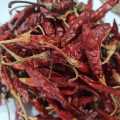 Chillies dry teja,sukeko khorsani 200gm. 