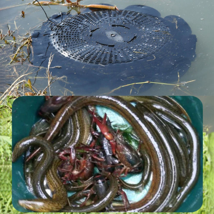 10%20Holes%20Catch%20Loach%20Lobster%20Yellow%20Eel%20Cage%20Mixed%20Fish%20Crayfish%20Catcher%20Outdoor%20Fishing%20Net%20Cage%20Plastic%20Shrimp%20Trap%20Cage%20-%20Image%206
