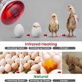 Infrared Heating Lamp with Heavy Duty Pendent Holder – Pet Brooder, Hatch Chicken & Animal Infrared Lamp for Breeding. 