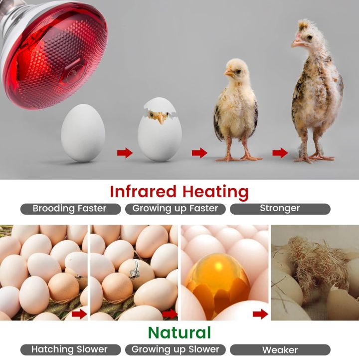 Infrared%20Heating%20Lamp%20with%20Heavy%20Duty%20Pendent%20Holder%20%E2%80%93%20Pet%20Brooder,%20Hatch%20Chicken%20&%20Animal%20Infrared%20Lamp%20for%20Breeding%20-%20Image%209