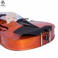 Manaslu Starter Violin with Case, Bow and Rosin. 
