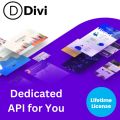 DIVI WordPress Theme – Lifetime API Access | Premium Website Builder & Design Tool. 