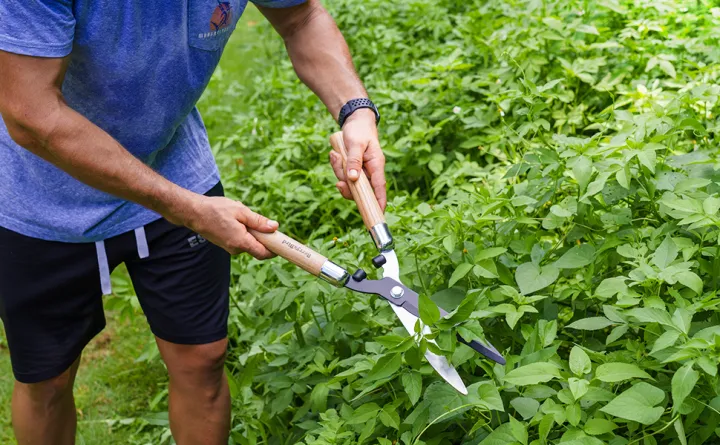 INCCO%20Industrial%20Biggest%20Size%20557%20mm%20Heavy%20Duty%20Trimmer%20for%20Trees/%20Shrubs/Lawn%20or%20Grass%20Cutter%20with%20Hedge%20Shear%20Cutting%20Blade%20%7C%20Tree/Shrubs%20Trimmer/Scissors%20%7C%20Prunning%20Shear%20Garden%20Scissor%20-%20Image%203