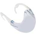 Nasal Face Shield With Safety Visor (Pack of 10). 