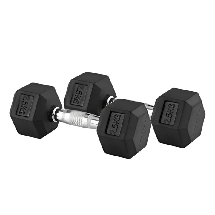Rubber%20Hex%202.5Kg%20Dumbbell%20Set%202%20Piece%20%7C%20Rubber%20Coated%20Dumbbell%20With%20Chrome%20Casted%20Handle%20-%202.5Kg%20-%201%20Pair%20-%20Image%204