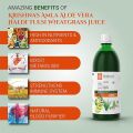 Krishna's Amla Aloe Vera Wheat Grass Haldi Tulsi Juice - 500 ml. 