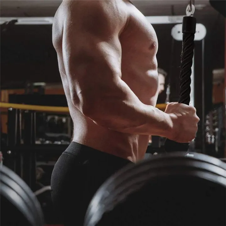 Heavy%20Duty%20Tricep%20Pull%20Down%20Cable%20Machine%20Attachment%E2%80%932PCS%20Single%20Grip%20Rope%20for%20Gym%20Pulley%20Workout%20-%20Image%203