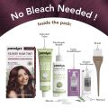 Paradyes No Bleach Berry Plum Glossy Hair Tint - Ammonia-Free for Natural Black Hair, Includes Anti-Fade Conditioner for Long-Lasting Shine, 1 Count. 