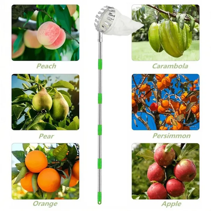 Fruit%20Picker%20with%205%20Telescopic%20Pole%20Metal%20Fruit%20Picker%20Orchard%20Gardening%20Peach%20Picking%20Tools%20Garden%20Fruit%20Picking%20Tool%20Easy%20Install%20Easy%20to%20Use%20-%20Image%2010