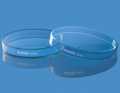 10 PCS Borosilicate Petri Dishes With Lid And 10 Pcs Transfer Pippet, 80mm x 15mm Sterile Petri Dishes For Bioresearch Science Art Projects. 